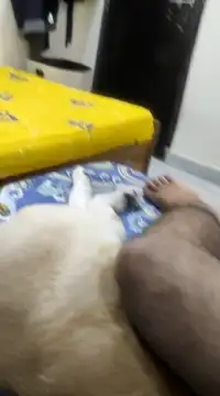 Believerrrr online show from 02/05/25, 04:59