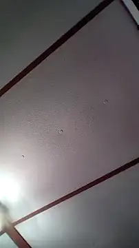 xDestineeXX online show from 12/30/24, 02:31