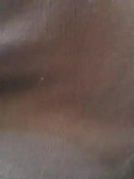 Snapshot of Sarita_7 chatting on 01/19/25, 11:45 Sarita 7 online show from 01/19/25, 11:45