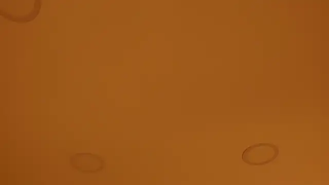 nakamura sam online show from 04/08/26, 10:06