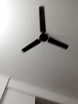 Camieon dre online show from 10/28/25, 06:12