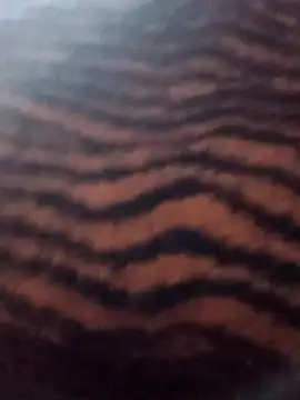 Aachal 7 online show from 11/22/25, 03:27