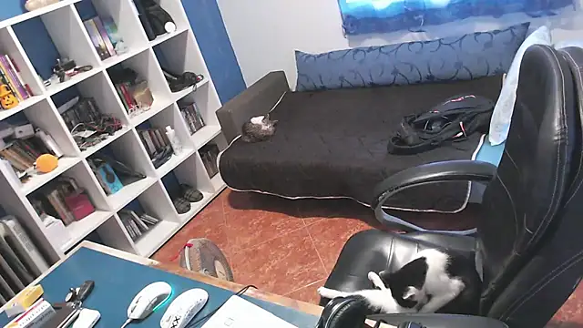 ravingr4d4 online show from 10/24/25, 03:22