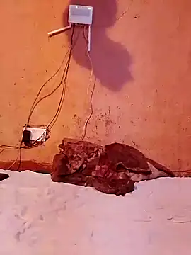 cute naimah online show from 12/05/25, 06:17