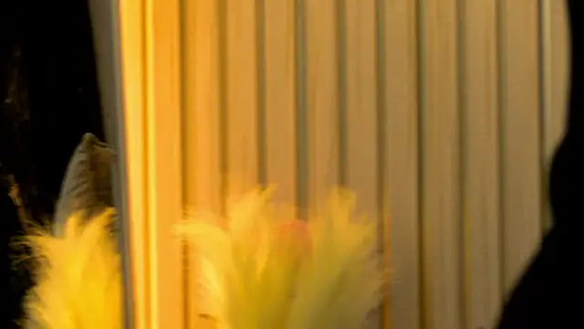 MiaCharm online show from 02/02/26, 09:36