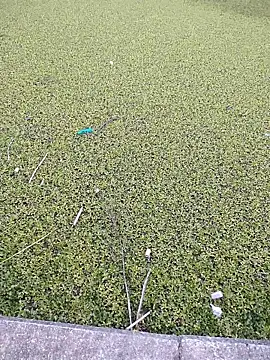 Eduardoxxx51 online show from 12/03/25, 10:20