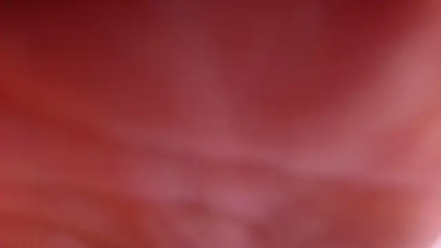 Snapshot of violett_lo chatting on 02/28/26, 03:06 violett lo online show from 02/28/26, 03:06