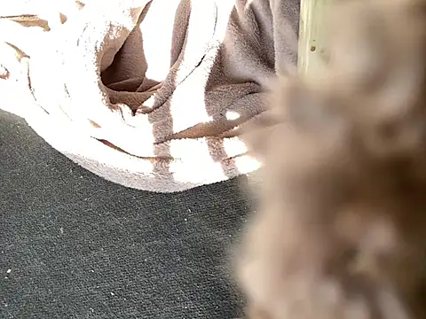 Fuckbuddy36 online show from 03/10/25, 12:17