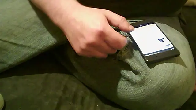 vimilili online show from 10/31/25, 07:54