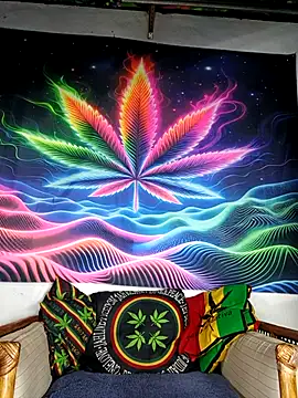 Bbboy42 online show from 11/24/25, 09:37