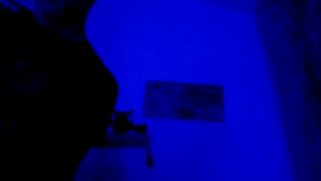 El Gizmo online show from 02/28/26, 10:59