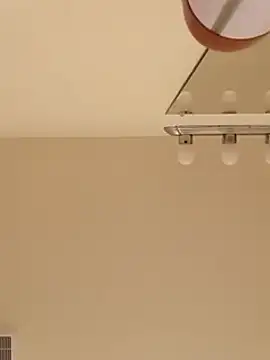 Snapshot of El_Gizmo chatting on 03/20/25, 03:14 El Gizmo online show from 03/20/25, 03:14