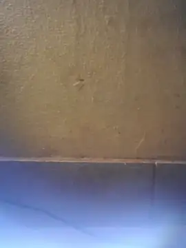 jackdick252 online show from 05/03/26, 04:06