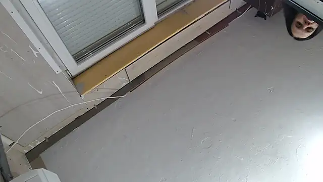 CRISTIINA37 online show from 12/01/25, 03:24