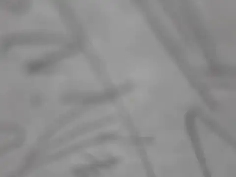 Snapshot of shikokichi55 chatting on 03/03/25, 03:00 shikokichi55 online show from 03/03/25, 03:00