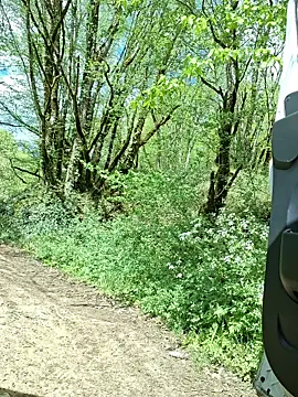 pachapeter online show from 04/16/26, 01:12