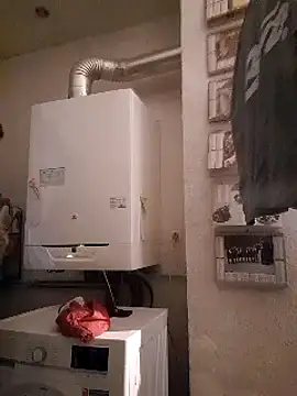 pachapeter online show from 02/10/25, 09:47