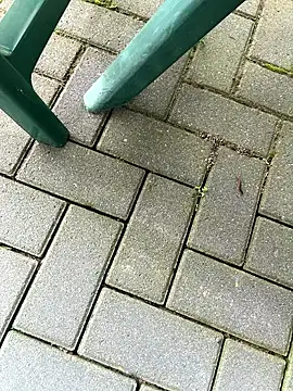 DurableFog online show from 04/01/26, 07:10