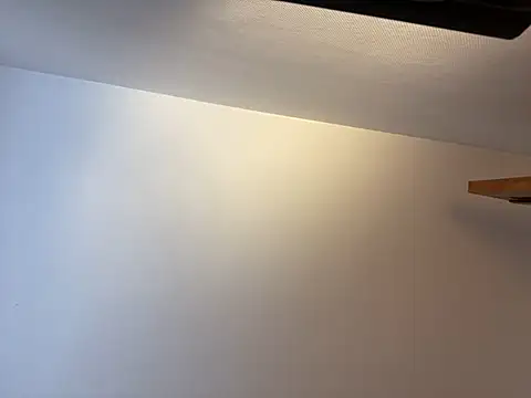 Snapshot of porompomperro chatting on 02/02/25, 12:46 porompomperro online show from 02/02/25, 12:46