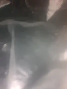 Puffgettingstuffed online show from 12/20/25, 08:22