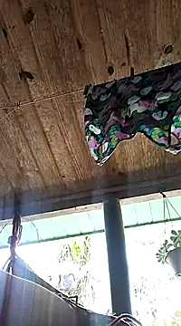 hemo691 online show from 02/05/25, 06:04