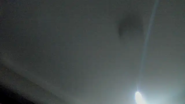 RosaCatalleya online show from 09/23/25, 04:08