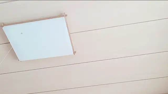 xxArisaxx online show from 03/01/26, 05:40