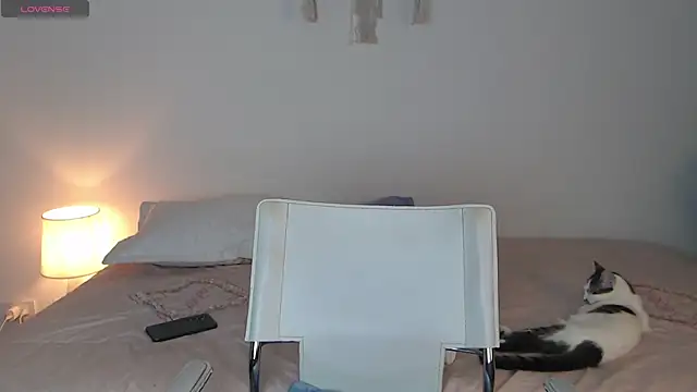 Snapshot of Abii_26 chatting on 11/08/25, 03:10 Abii 26 online show from 11/08/25, 03:10