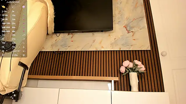 Snapshot of sally_009 chatting on 01/07/26, 03:44 sally 009 online show from 01/07/26, 03:44