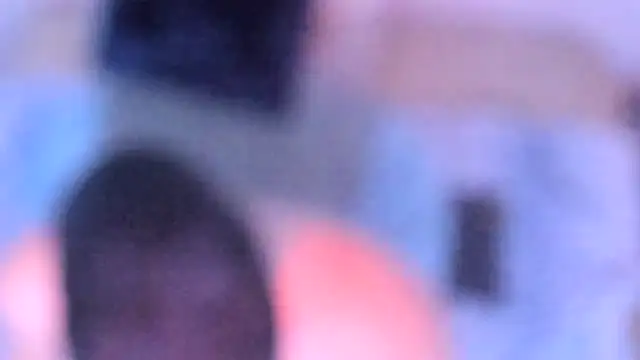 stillwild online show from 12/14/25, 10:21