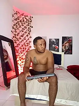 Snapshot of ARTHUR_MINI chatting on 11/03/25, 01:00 ARTHUR MINI online show from 11/03/25, 01:00