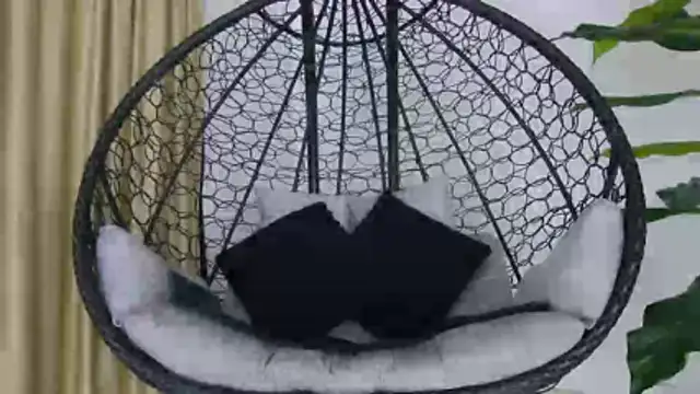 alex noa online show from 12/22/25, 07:25