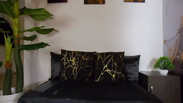 alex noa online show from 02/14/26, 07:25