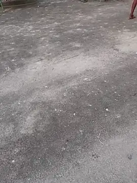 Ajith mvi online show from 04/01/26, 01:08