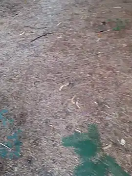 Ajith mvi online show from 04/16/26, 01:28