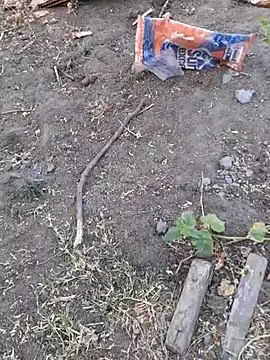 Ajith mvi online show from 04/08/26, 01:18