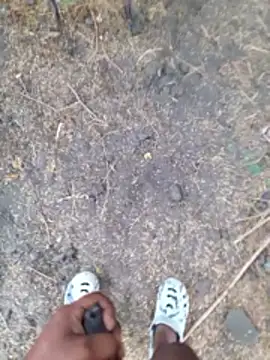 Ajith mvi online show from 04/13/26, 01:42