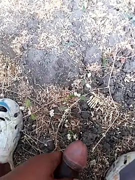 Ajith mvi online show from 03/14/26, 02:06