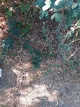 Ajith mvi online show from 03/26/26, 11:08