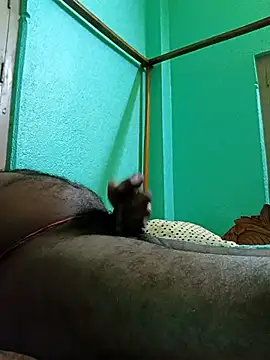 SEXYBOYBIGCOOCK online show from 02/12/25, 07:02