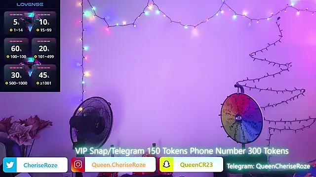 Snapshot of cheriserozequeen chatting on 12/22/24, 10:25 cheriserozequeen online show from 12/22/24, 10:25