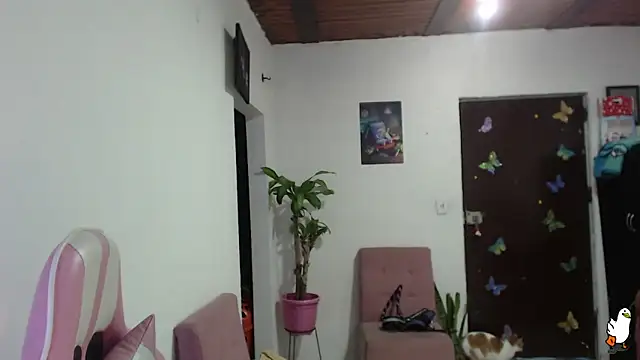 littleangel1 m online show from 02/02/26, 01:04