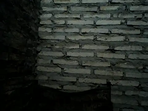 Rodrigo happy online show from 12/14/25, 03:02