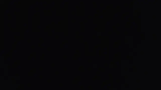 hailzeffn online show from 11/16/25, 03:17