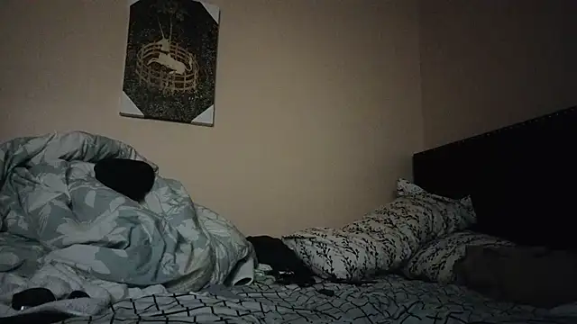 hailzeffn online show from 11/07/25, 09:25