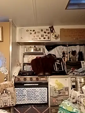 Snapshot of whitetrashdirtyslut chatting on 03/18/26, 01:13 whitetrashdirtyslut online show from 03/18/26, 01:13