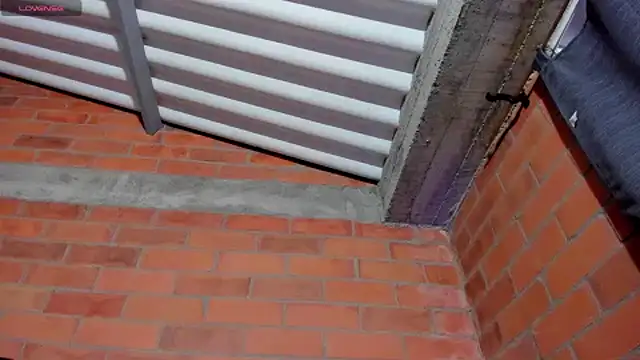 sainix  online show from 12/04/24, 12:24