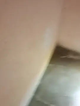 fkoito online show from 11/15/25, 08:13