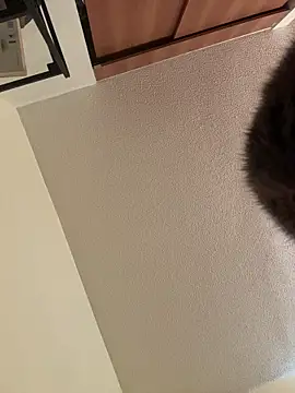 Megan Rodrigo online show from 03/07/26, 12:32