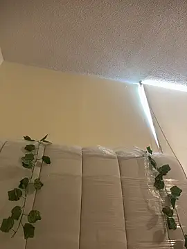 Megan Rodrigo online show from 03/13/26, 02:11